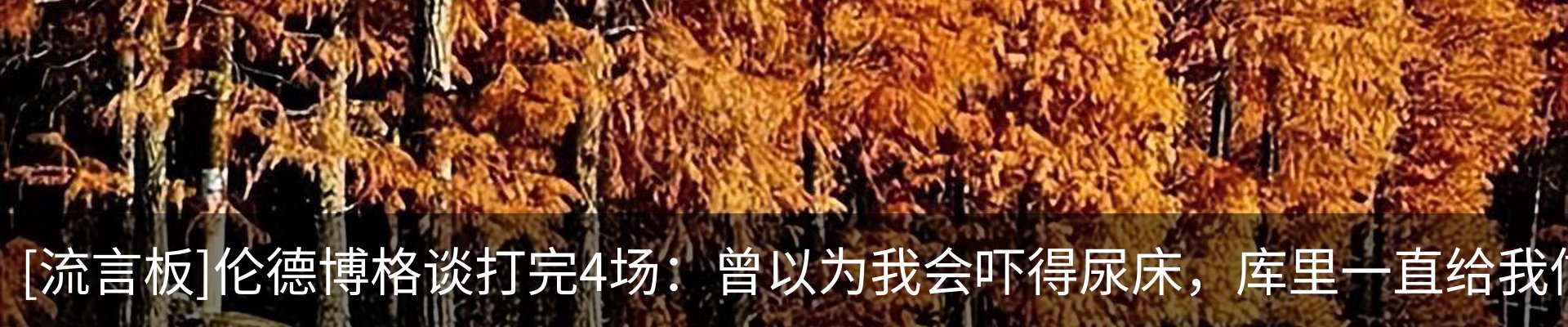 内页banner
